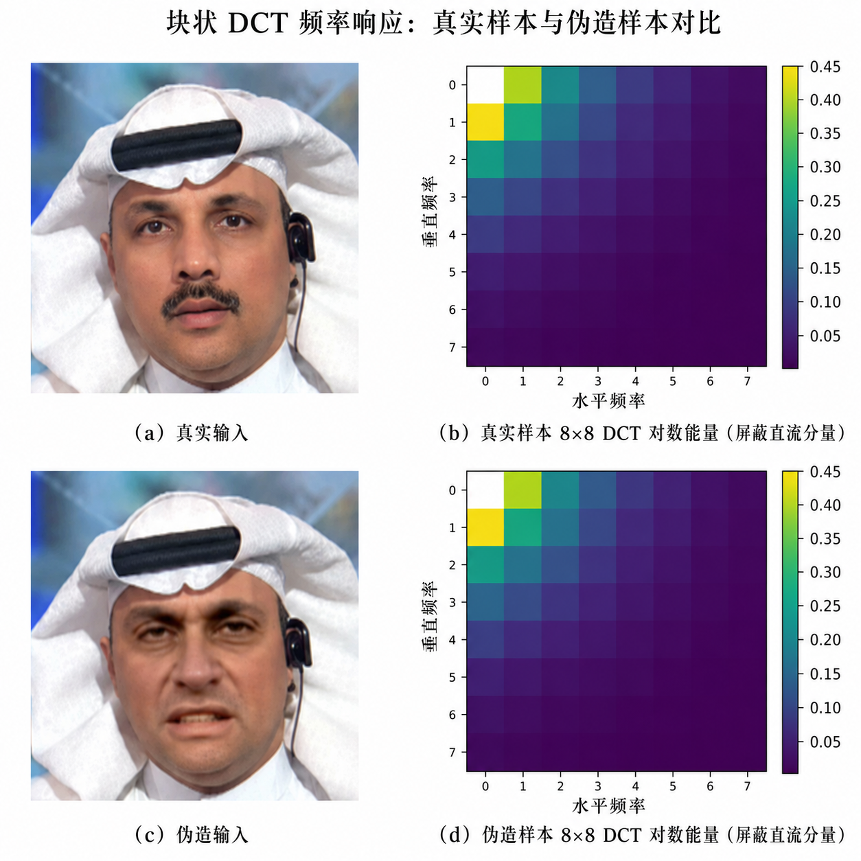 真实与伪造样本的 DCT 频谱差异