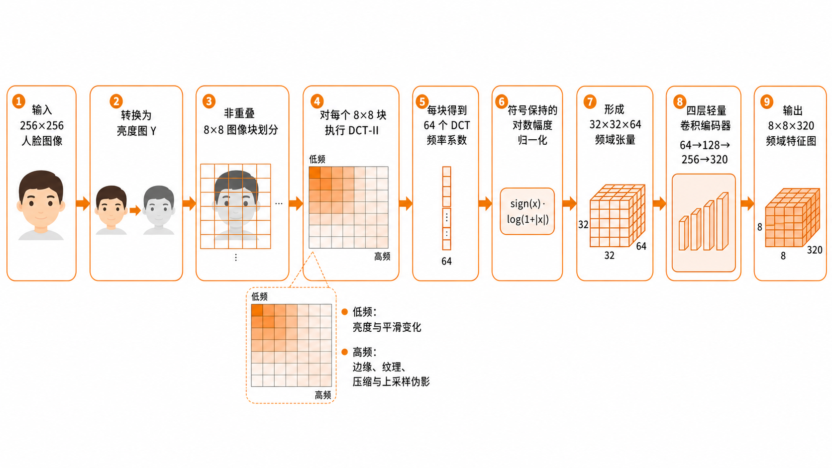 DCT 频域伪影分支
