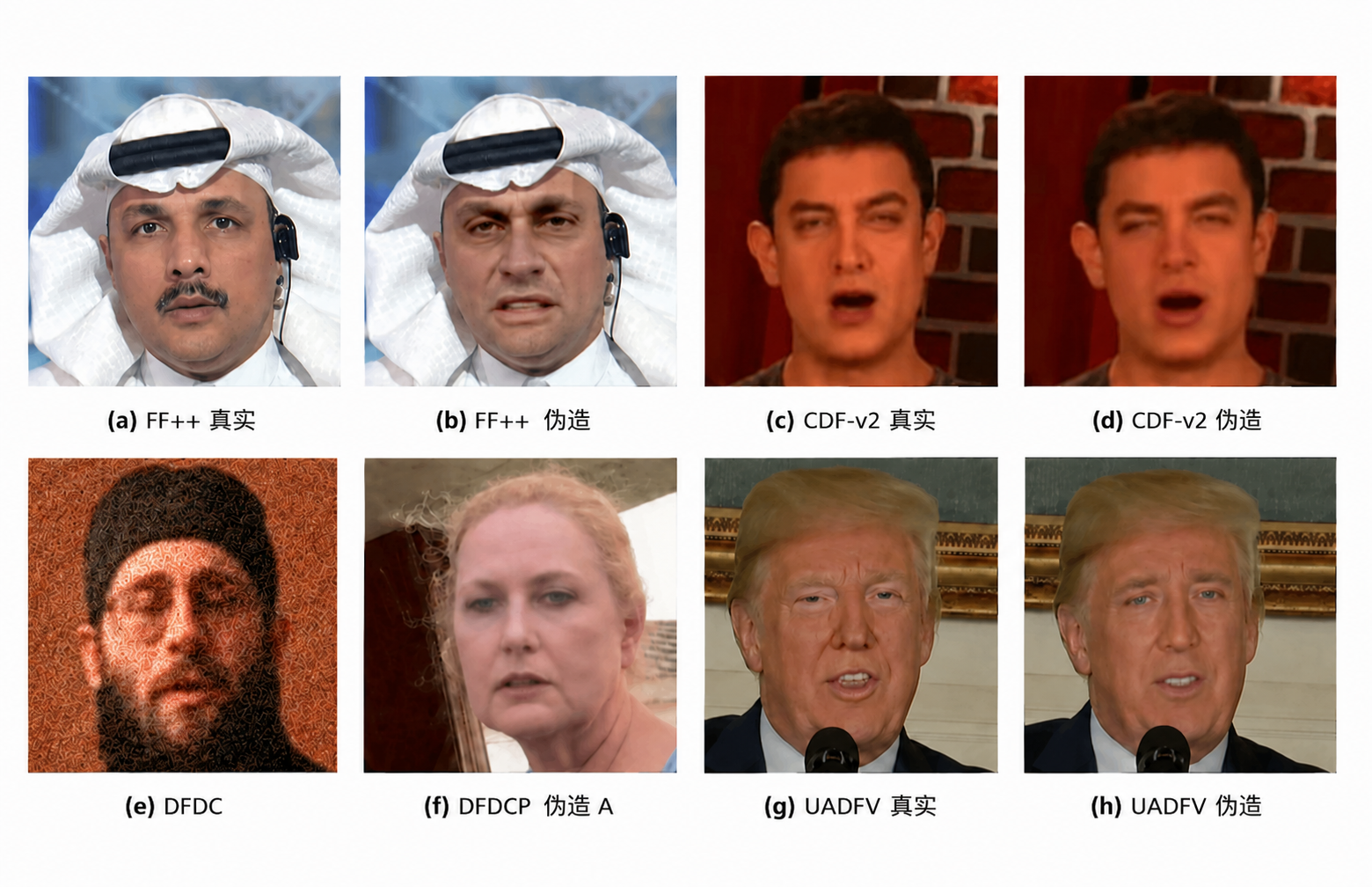 六个数据集代表帧示例